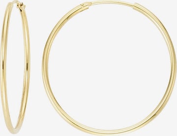 Lucardi Earrings 'Klassisch' in Gold: front