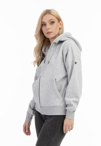 DreiMaster Vintage Zip-Up Hoodie 'Idem' in Grey: front