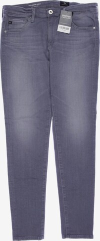 Adriano Goldschmied Jeans in 29 in Grey: front