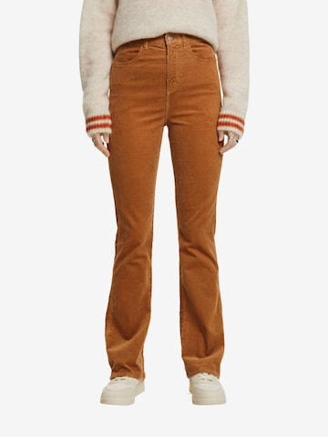 ESPRIT Flared Pants in Brown: front