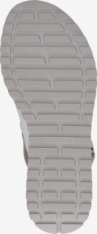 Sandalo di CAPRICE in bianco