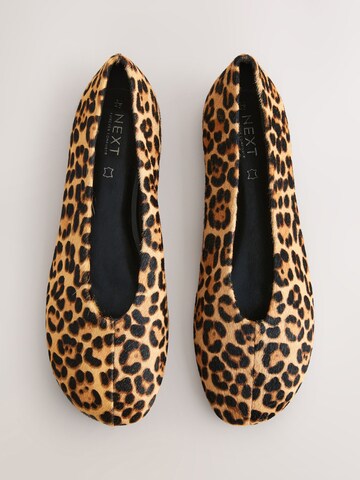 Next Ballerina 'Forever Comfort' in Brown
