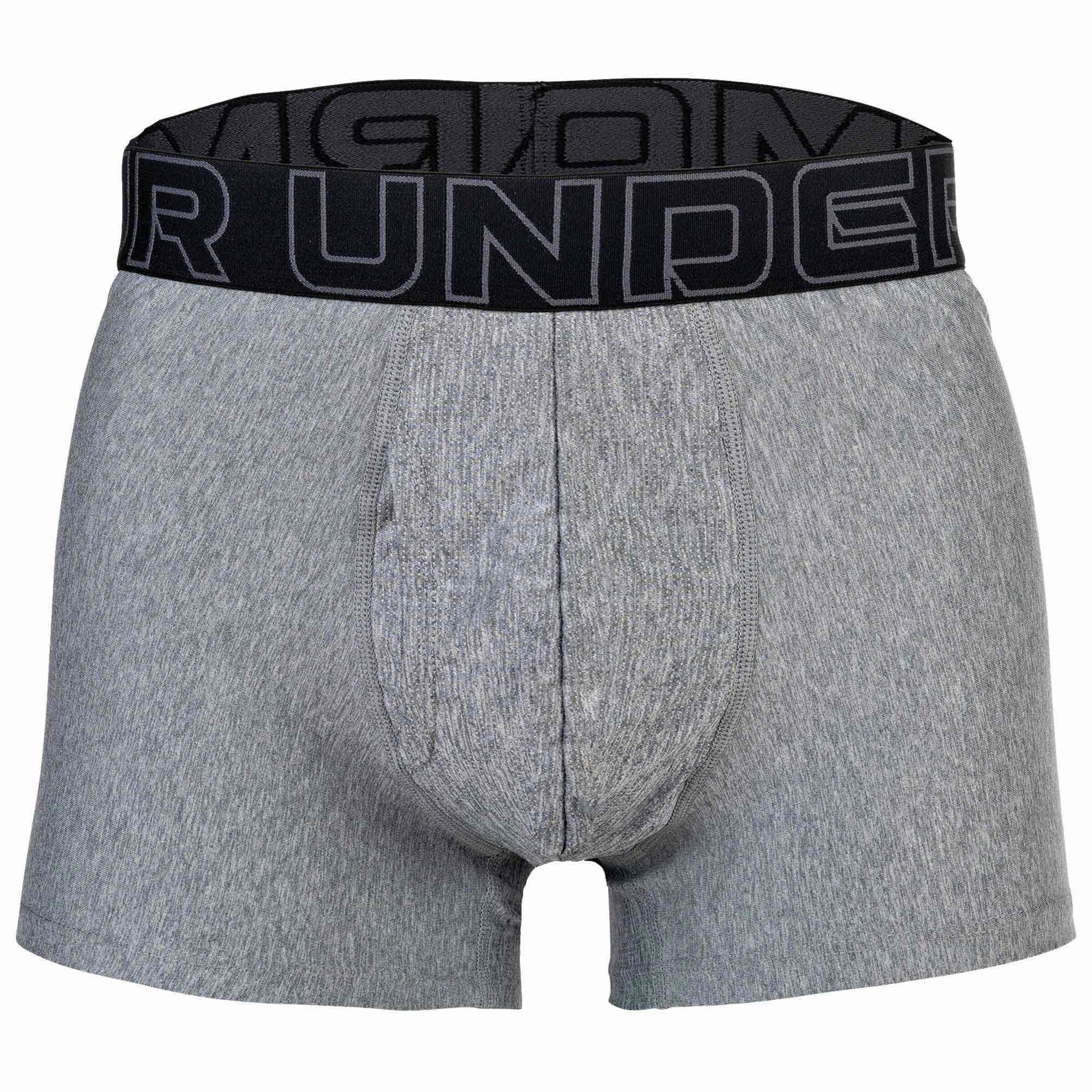 UNDER ARMOUR Athletic Underwear in Grey