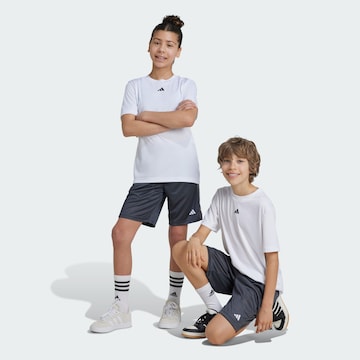 Regular Pantalon de sport 'Essentials' ADIDAS SPORTSWEAR en gris : devant