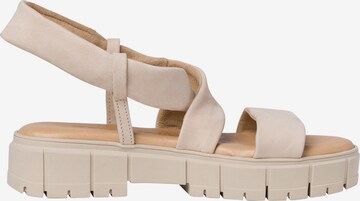 TAMARIS Sandals in Beige