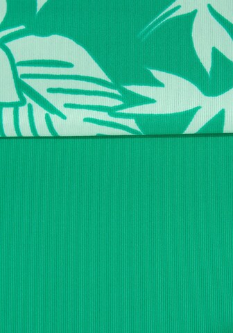 VENICE BEACH Bikinihose in Grün