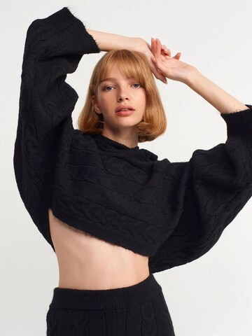 Dilvin Pullover 'Pullover'‌‌‌‌‌‌‌‌ in Schwarz: Vorderseite