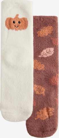 Chaussettes Next en marron : devant