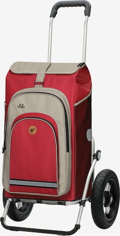 Valisette 'Royal Hydro 2.0 ' Andersen Shopper en rouge : devant