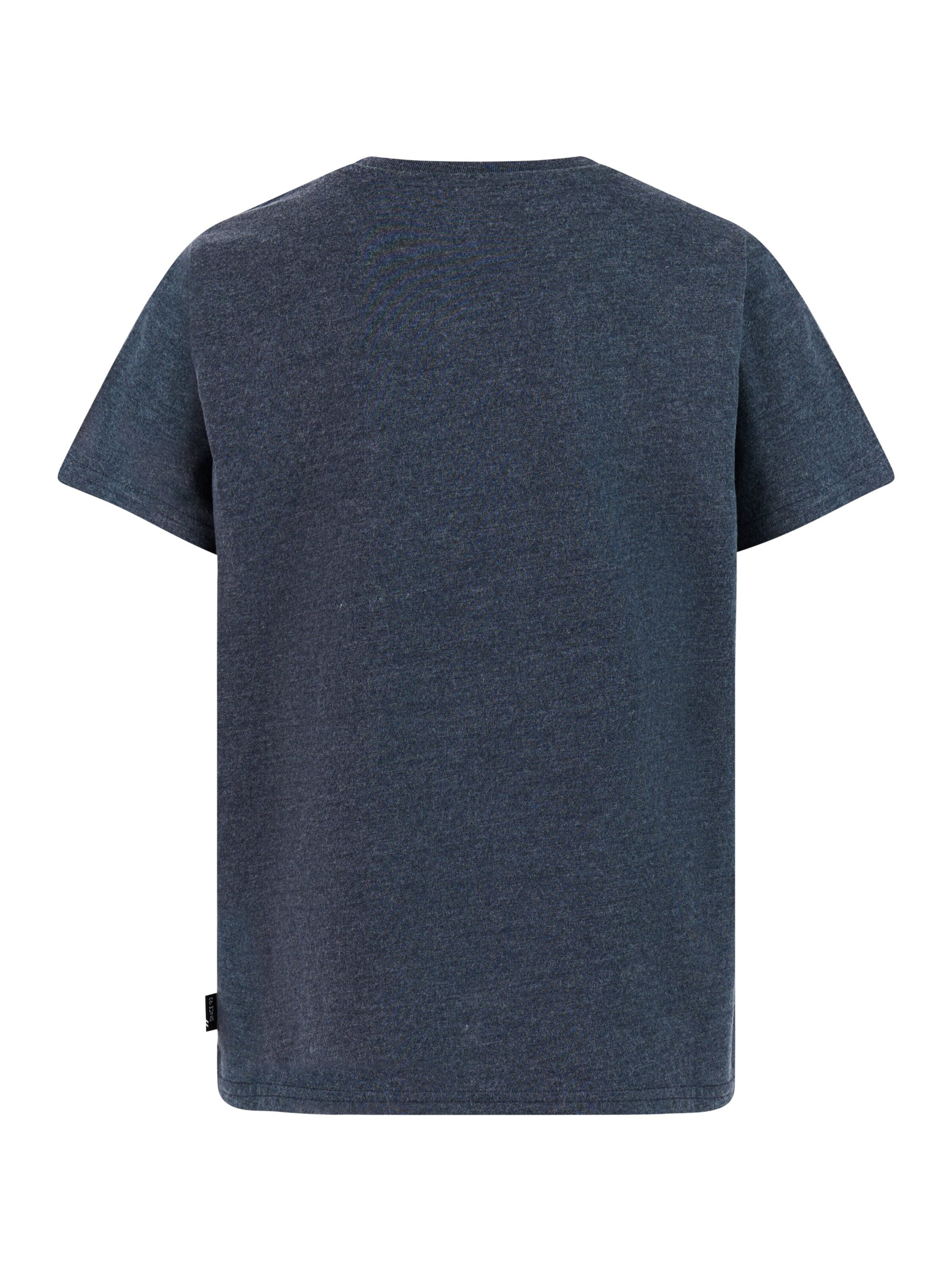 PROTEST Shirt 'PRTRay JR' in Blue