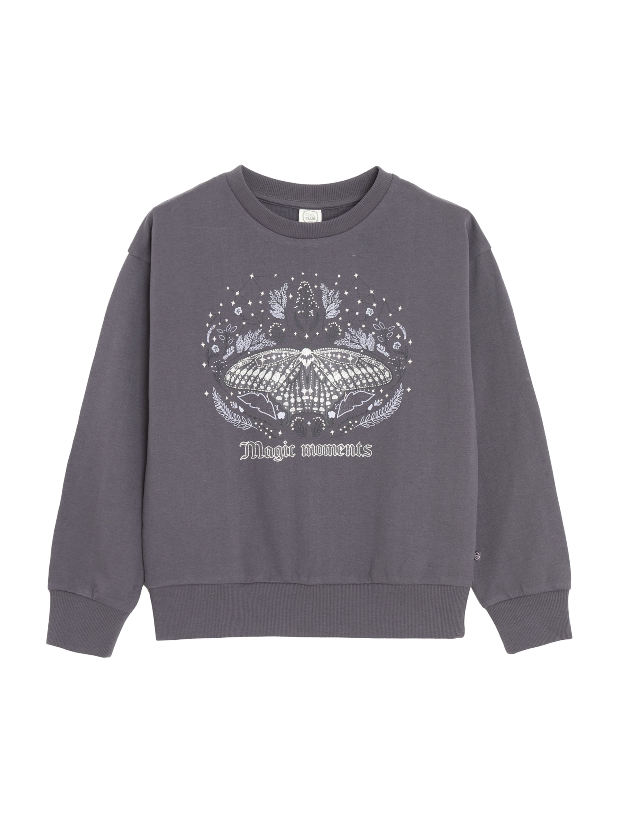 Sweat-shirt Cool Club en violet : devant