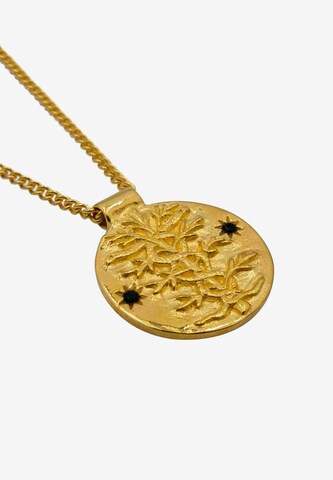 Haze&Glory Necklace 'Antidote' in Gold