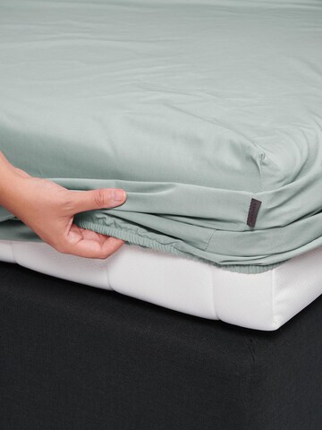 ESSENZA Bed Sheet 'Minte' in Green