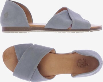 Apple of Eden Flats & Loafers in 38 in Blue: front