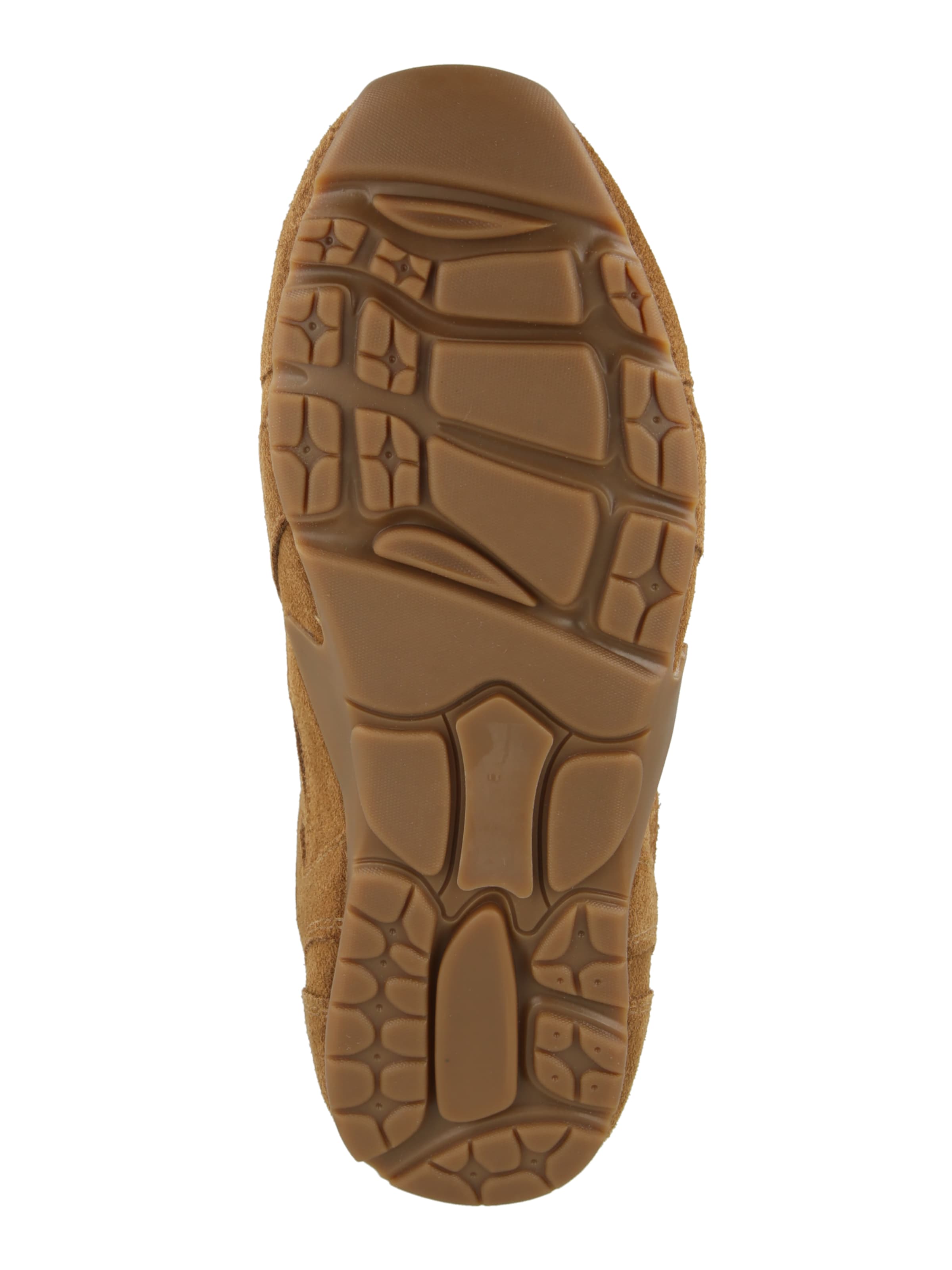 Baskets basses 'Asiel' STEVE MADDEN en marron