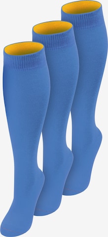 normani Kniestrümpfe in Blau: Vorderseite