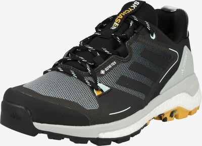 ADIDAS TERREX Zapatos bajos 'Skychaser Gore-Tex 2.0' en gris claro / negro / blanco, Vista del producto