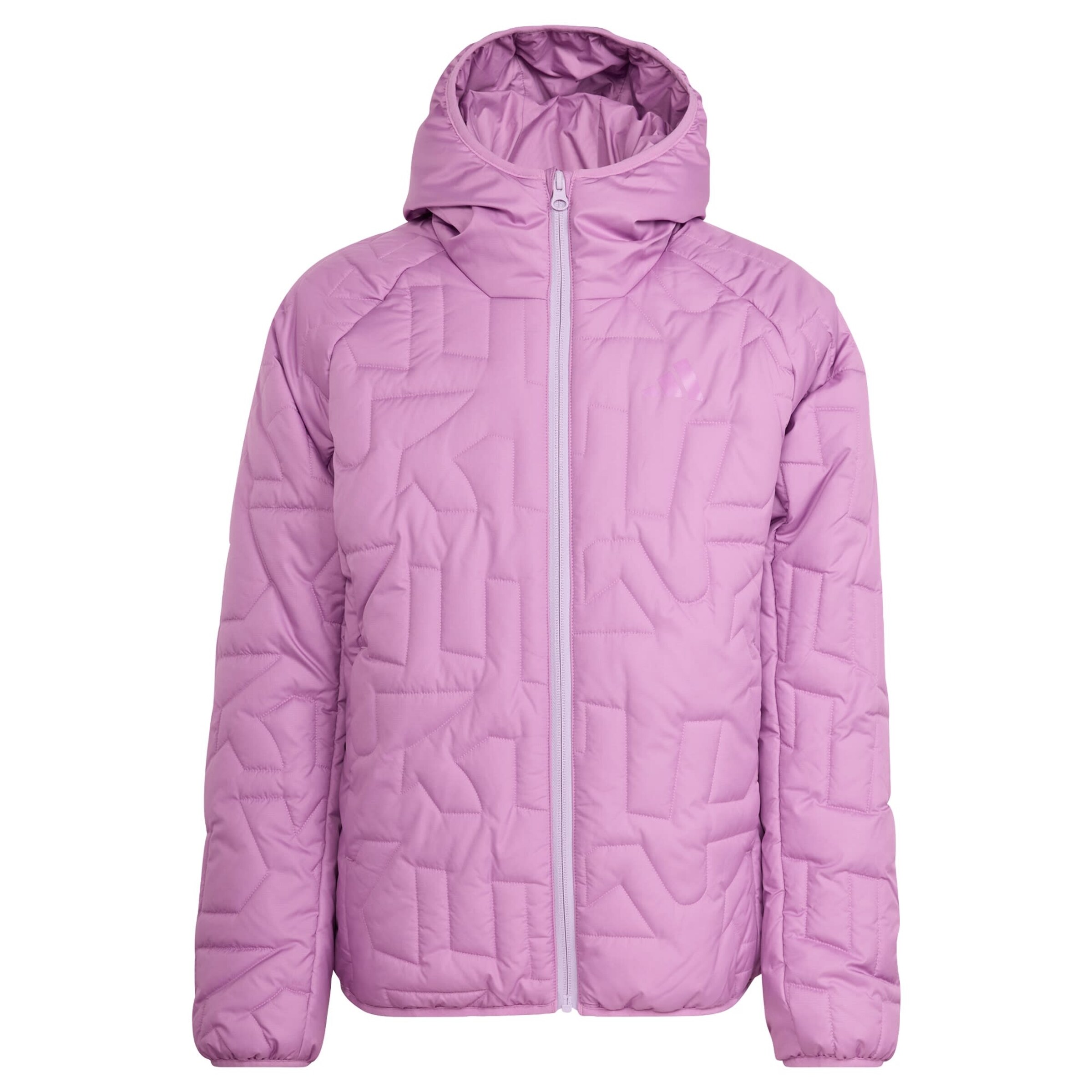 ADIDAS TERREX - Chaqueta de montaña 'Xperior' en lila: frente