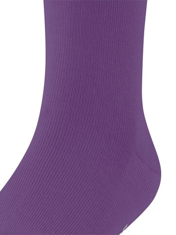 FALKE Socks 'Family' in Purple