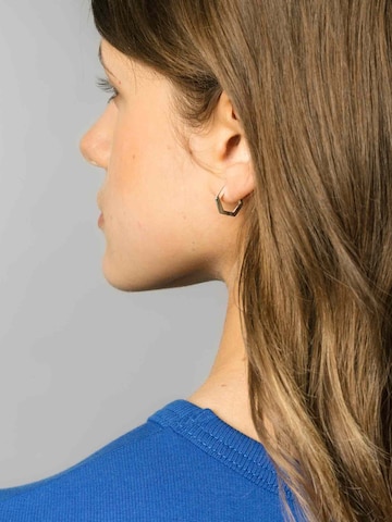 fejn Earrings in Silver