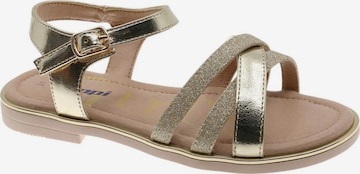 Beppi Sandal in Gold: front