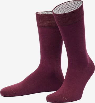 Von Jungfeld Socks in Mixed colors