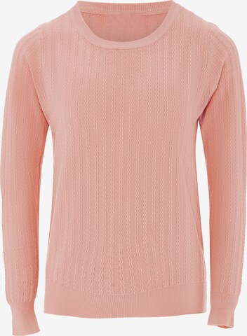 Sidona Sweater in Pink: front