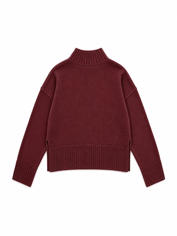 Viorna Sweatshirt 'Sweatshirts' in Red