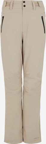 PROTEST Sportbroek 'CINNAMON' in Bruin: voorkant