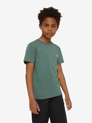 T-Shirt 'Mapleton' DICKIES en vert