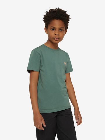 DICKIES Koszulka 'Mapleton' w kolorze zielony
