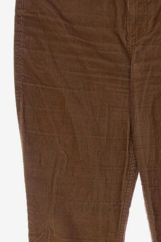 HOLLISTER Stoffhose XS in Braun