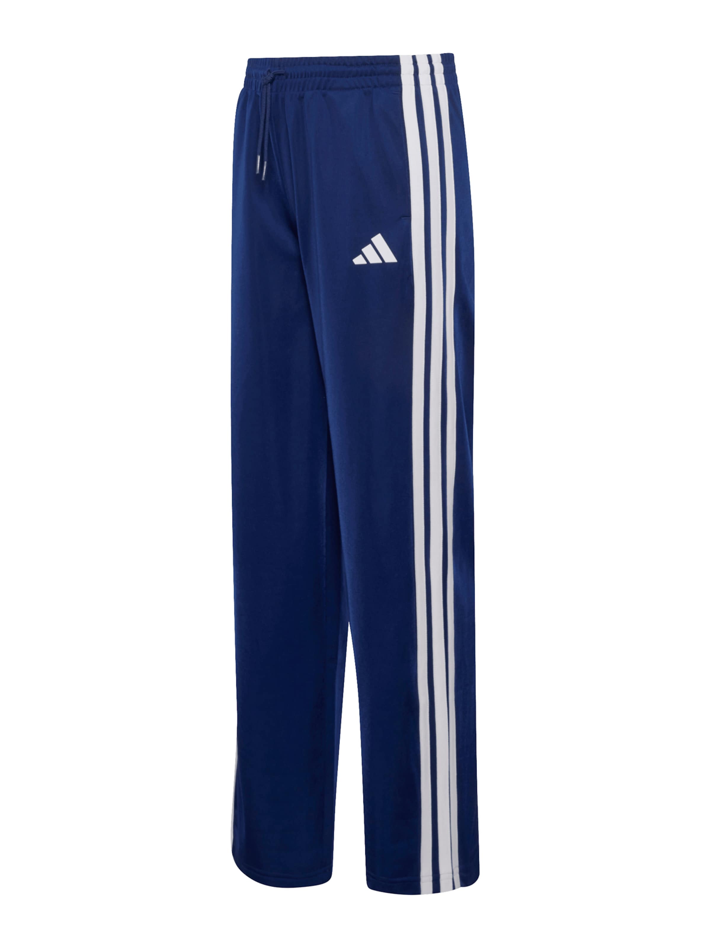 ADIDAS SPORTSWEAR Regularen Športne hlače | modra barva: sprednja stran