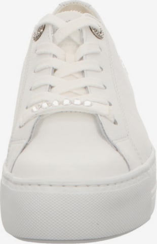 Sneaker bassa di Paul Green in bianco