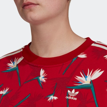 ADIDAS ORIGINALS Sweatshirt 'Thebe Magugu Crew' in Rood