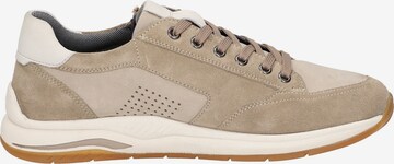 SIOUX Sneakers laag ' Turibio ' in Beige