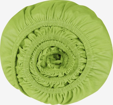 SCHIESSER Bed Sheet 'Elli' in Green: front