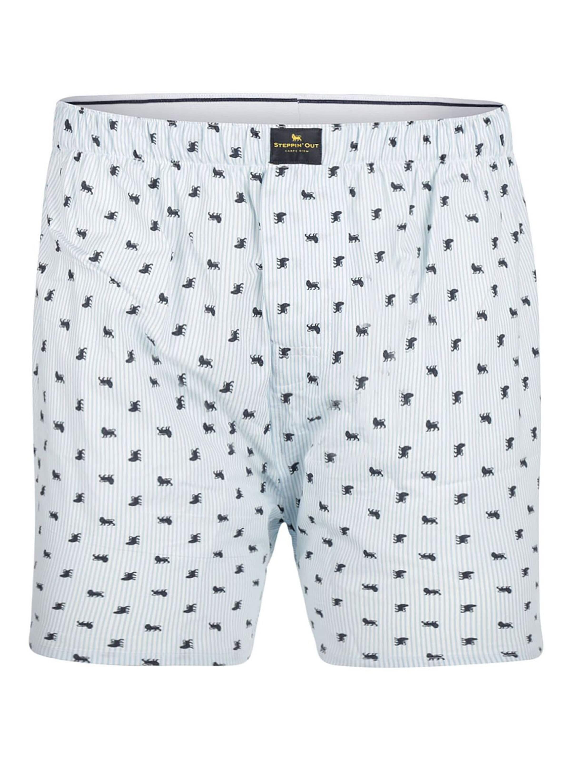 Steppin' out Boxer shorts in Blue: front