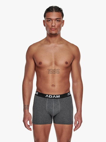 Adam Boxershorts '6er Pack'‌‌‌‌ in Grau: Vorderseite