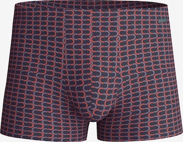 Boxers 'Grafic Cotton' CALIDA en gris : devant