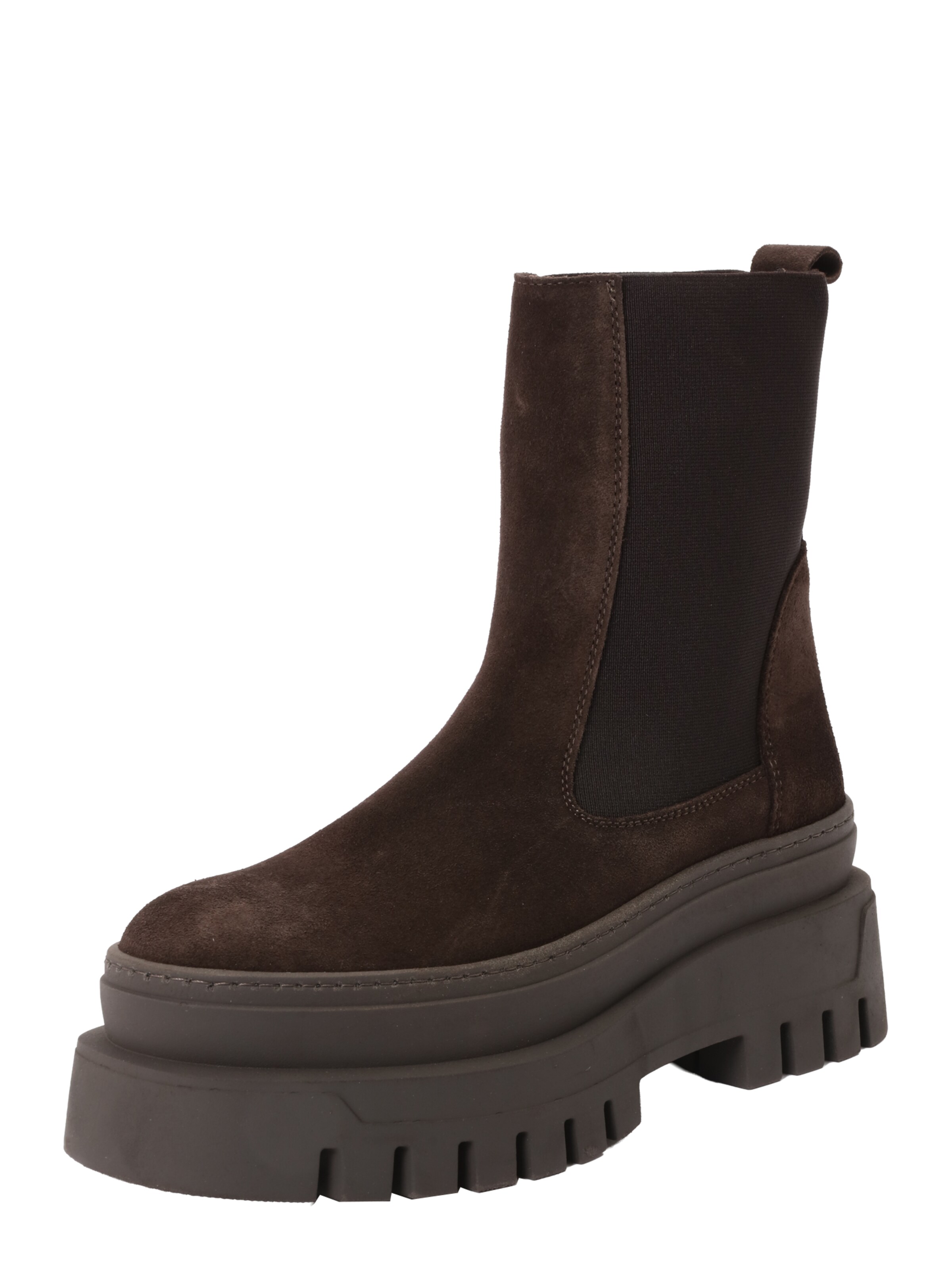 brūns STEVE MADDEN Čelsijas zābaki 'Cassandra': no priekšpuses