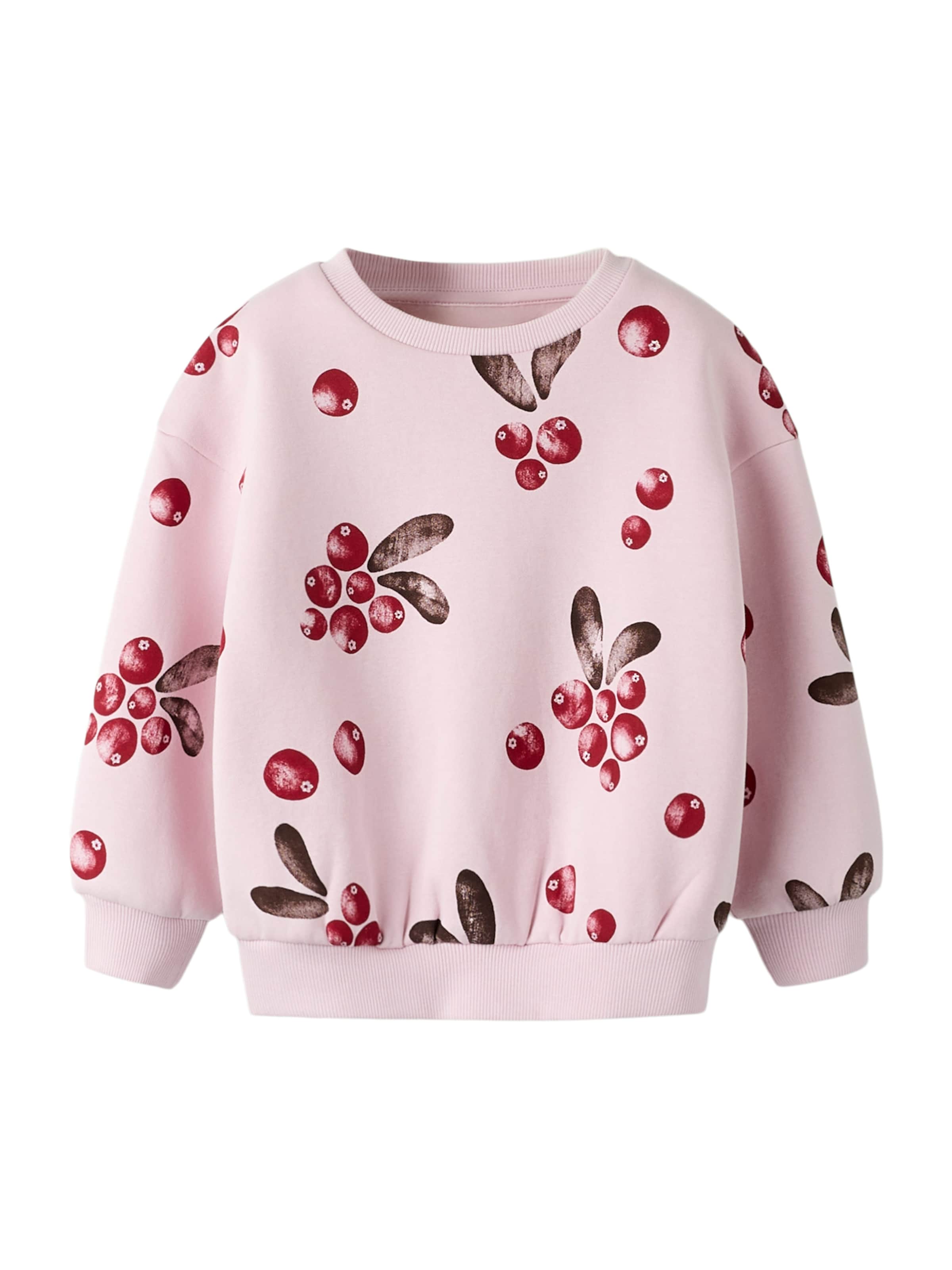 NAME IT Sweatshirt 'NMFSISSY' in Pink: front