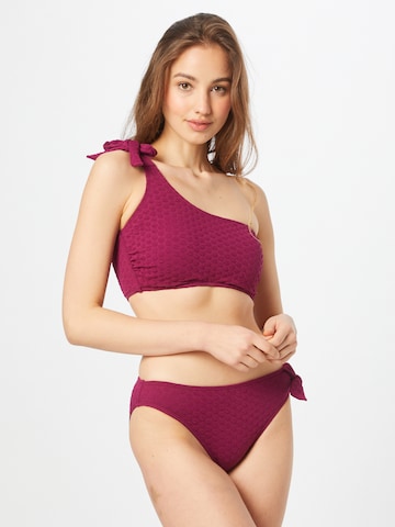 LingaDore Bandeau Bikini zgornji del | vijolična barva