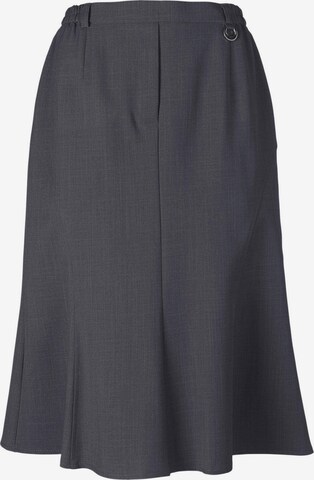 Goldner Skirt in Grey: front