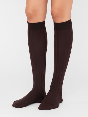 CALZEDONIA Kniestrümpfe in Braun