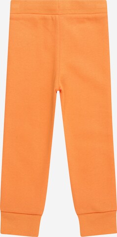 GAP Ozke Hlače | oranžna barva