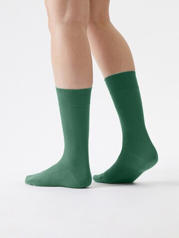 Von Jungfeld Socks 'SIGNATURE' in Green: front