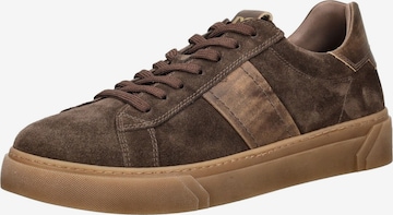 Sneaker bassa di Nero Giardini in marrone: frontale