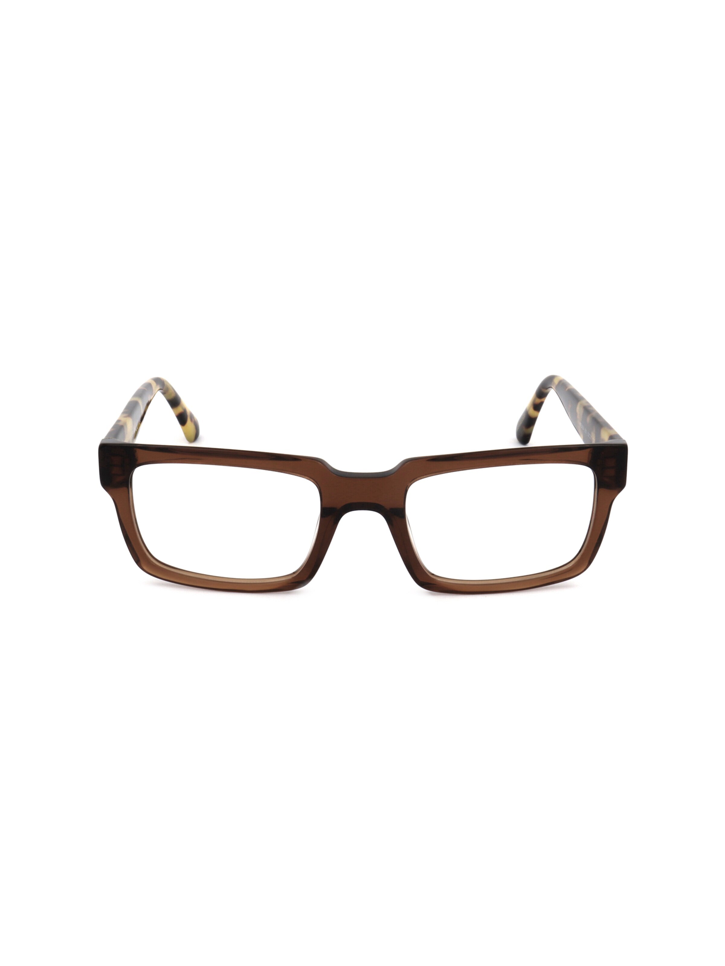 Occhiali 'WE5424' di Web Eyewear in marrone: frontale