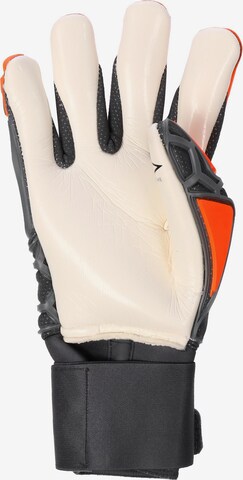 Gants de sport 'Hexasoft Pro II' DERBYSTAR en gris